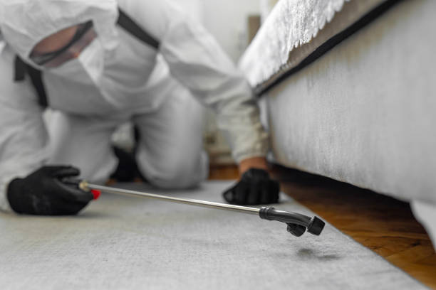 Professional Bed Bug Control technician working in Dallas County County, IA